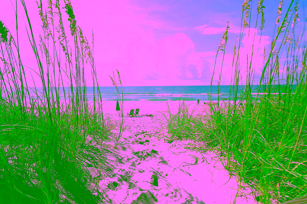 Image link